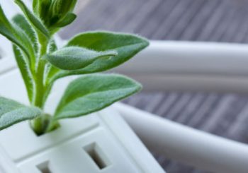 2018 – The year to go GREEN